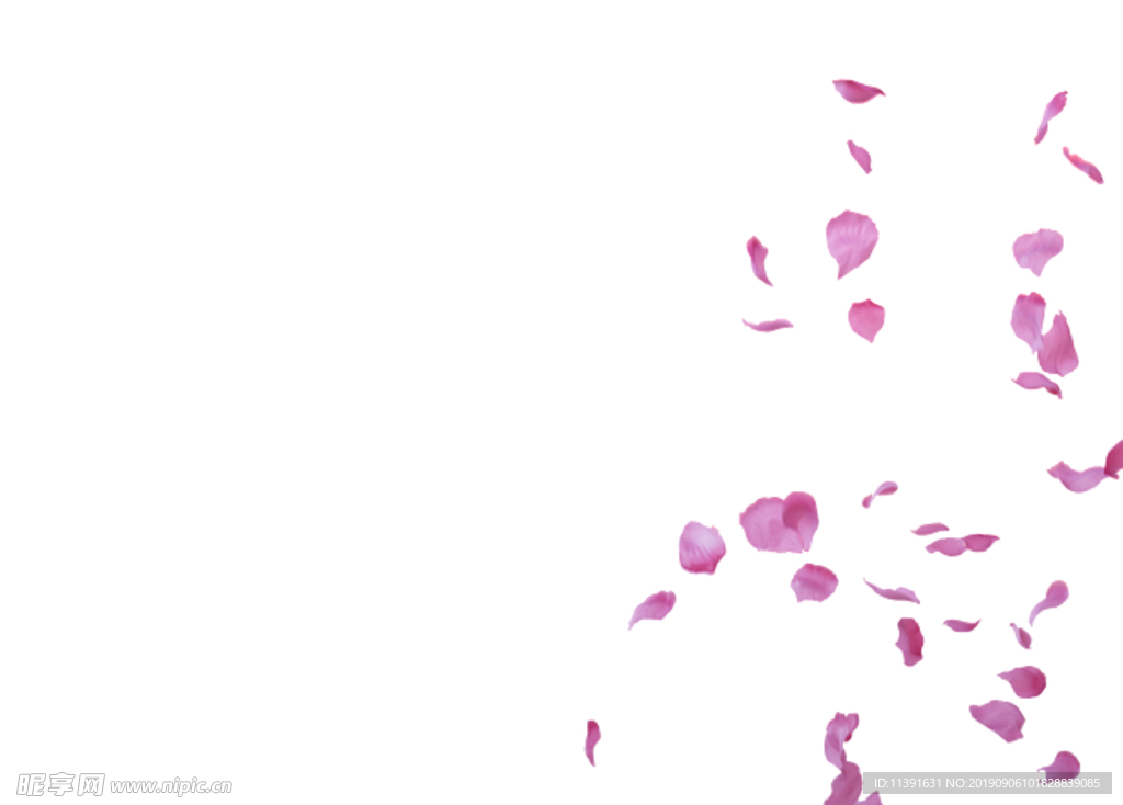 花瓣