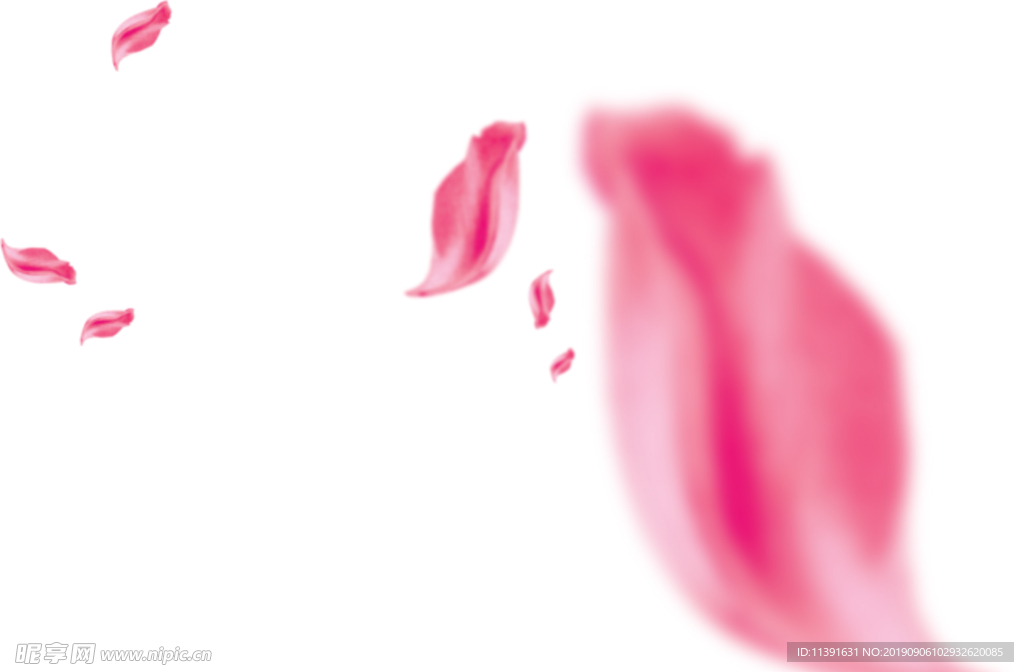 花瓣