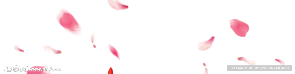 花瓣