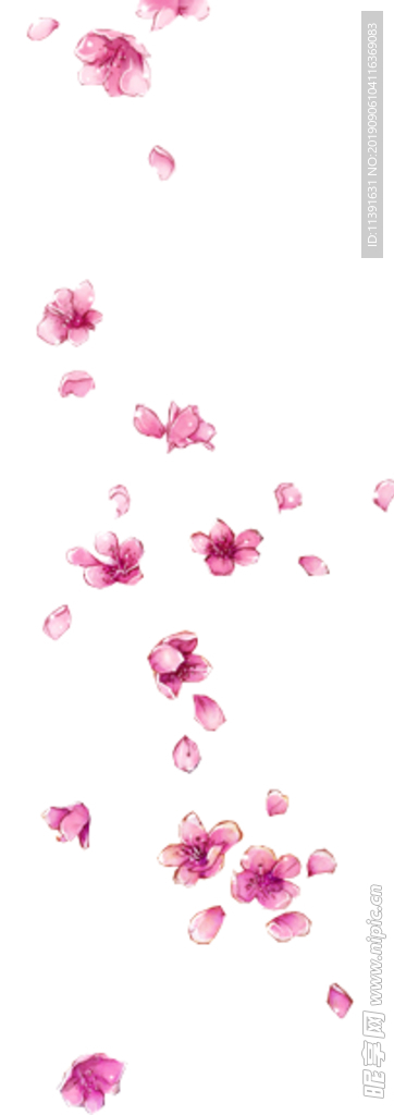 花瓣
