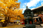 红螺寺秋景