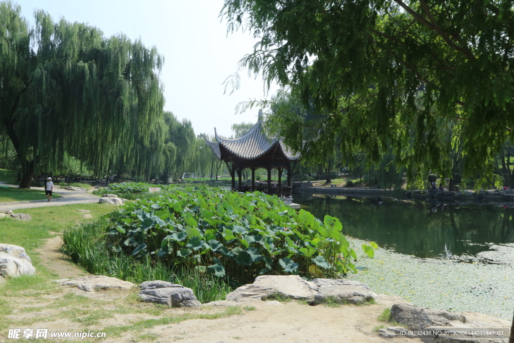 陶然亭风景