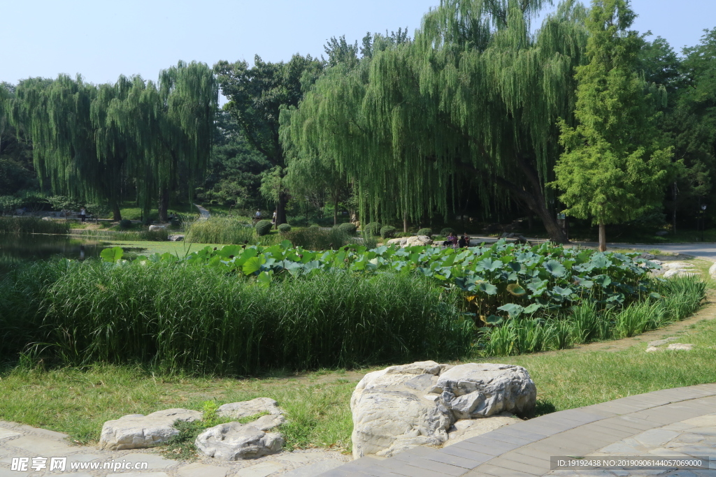陶然亭风景