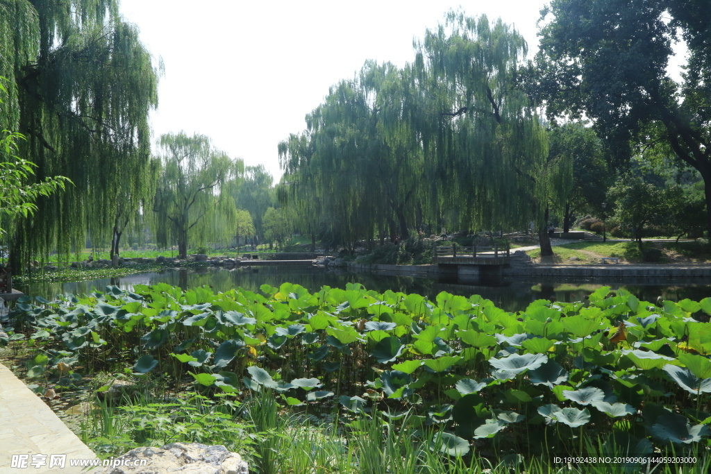 陶然亭风景