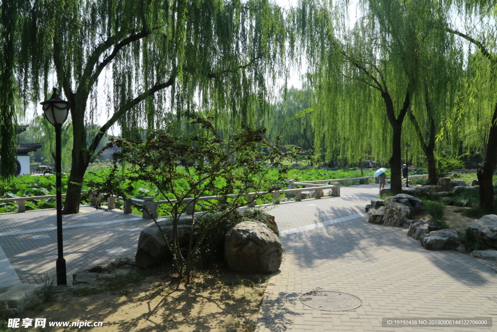 陶然亭风景
