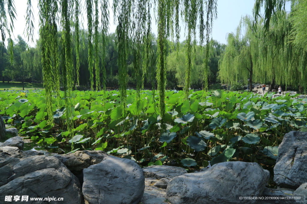 陶然亭风景