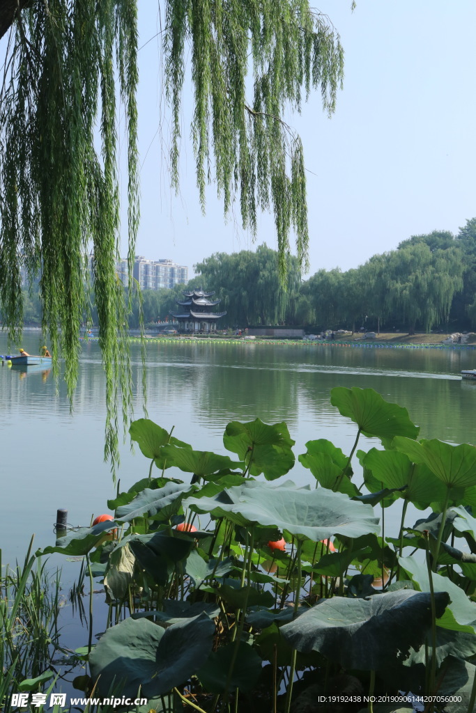 陶然亭风景