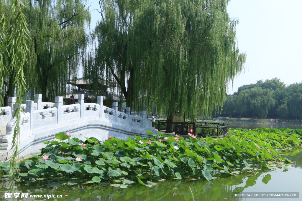 陶然亭风景