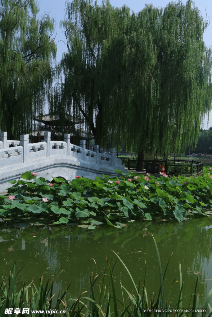 陶然亭风景