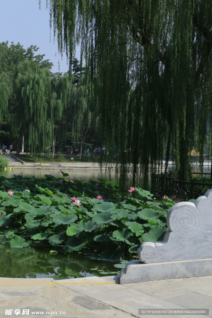 陶然亭风景