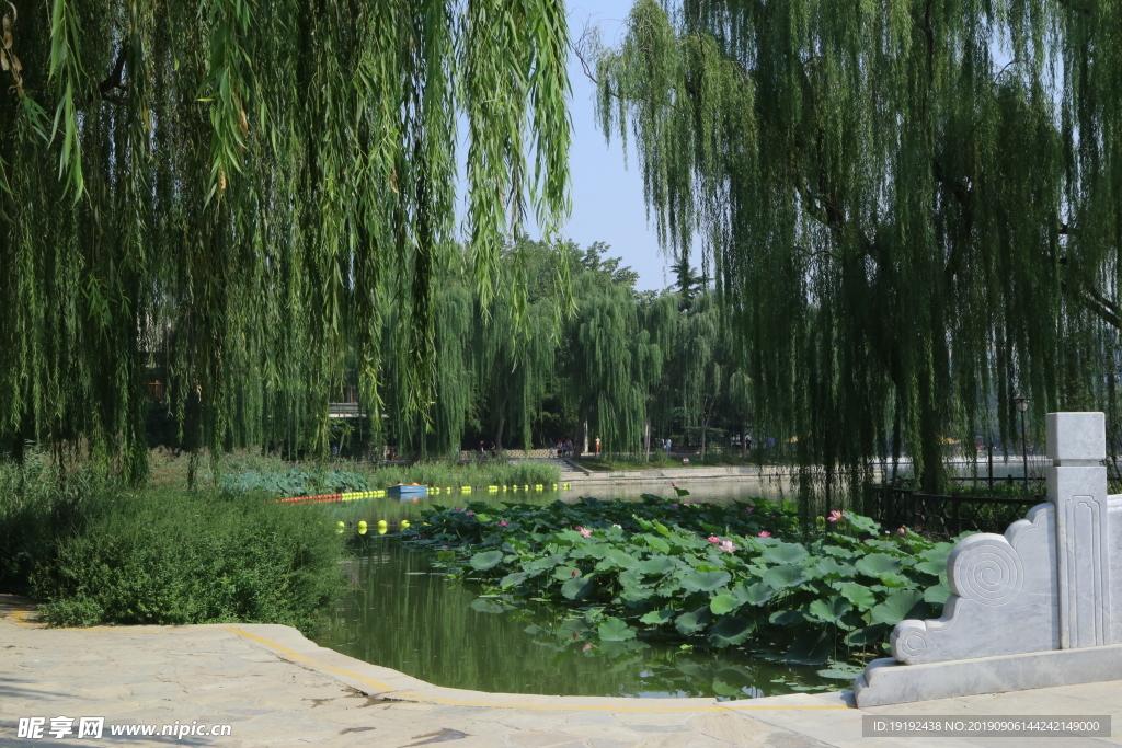 陶然亭风景