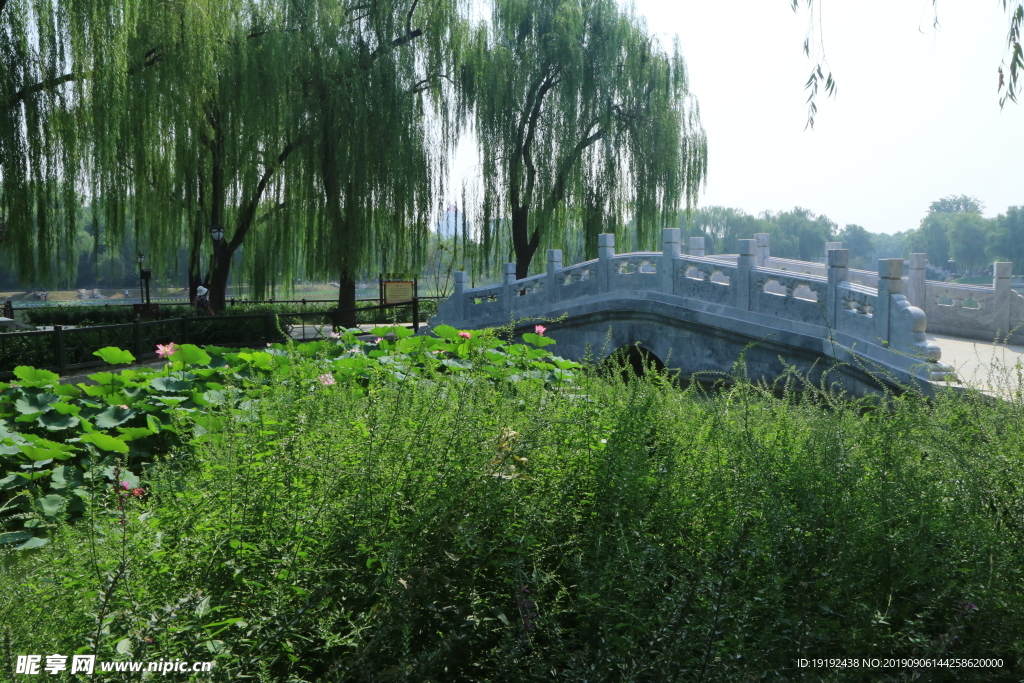 陶然亭风景