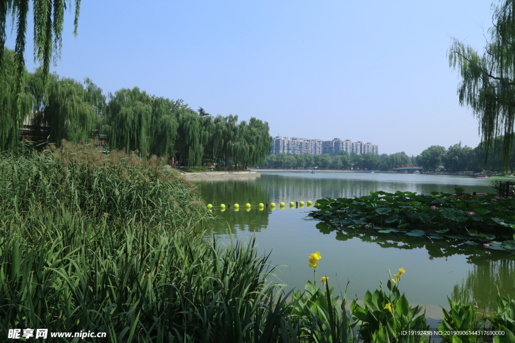 陶然亭风景