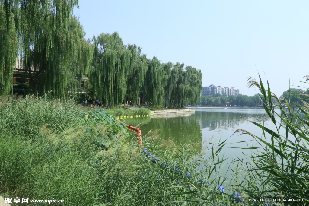 陶然亭风景