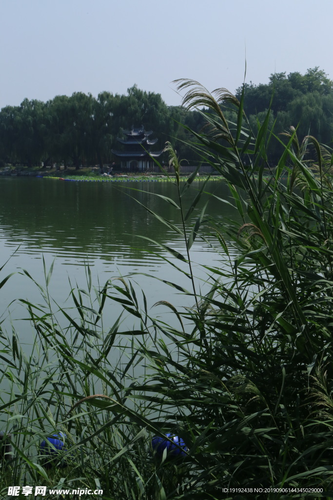 陶然亭风景