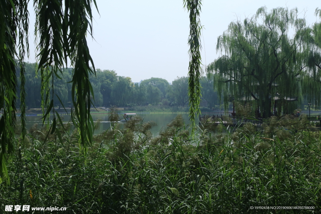 陶然亭风景