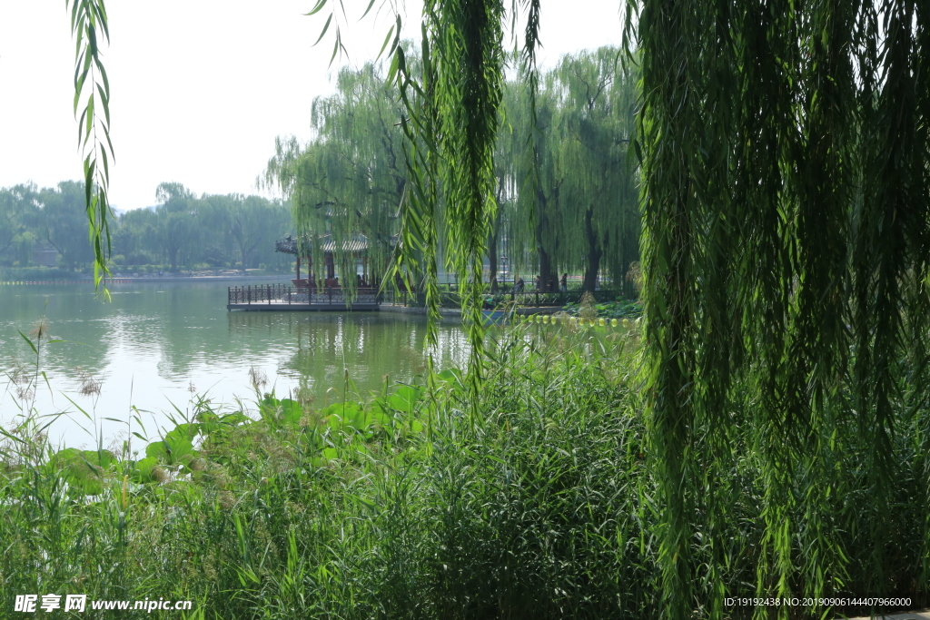 陶然亭风景