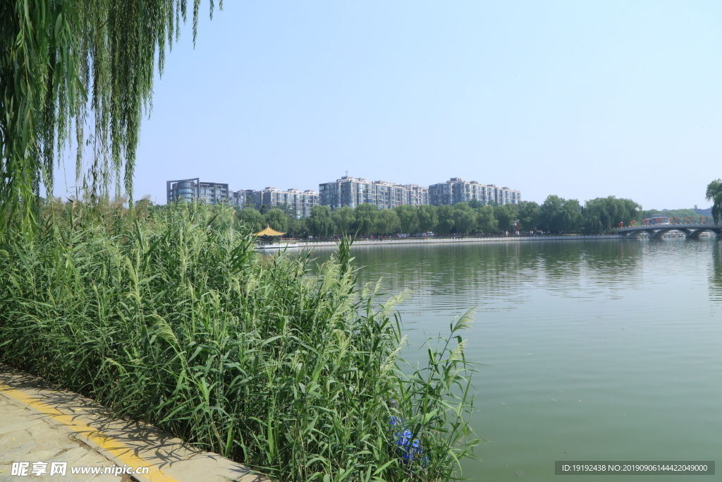 陶然亭风景