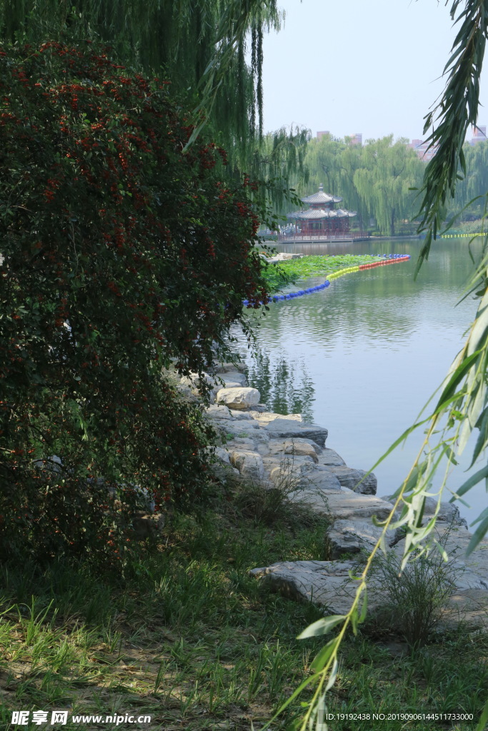 陶然亭风景