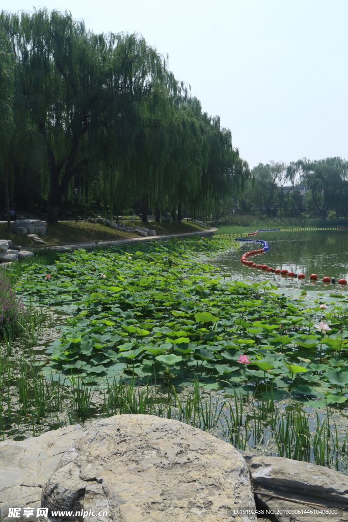 陶然亭风景