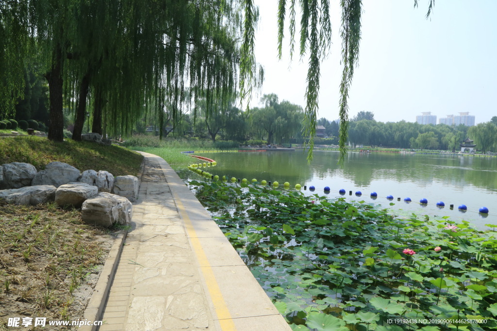 陶然亭风景