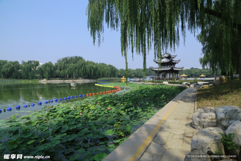 陶然亭风景