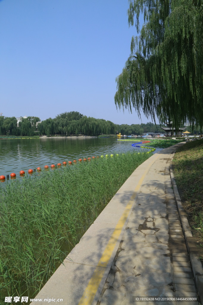 陶然亭风景