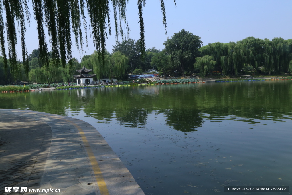 陶然亭风景
