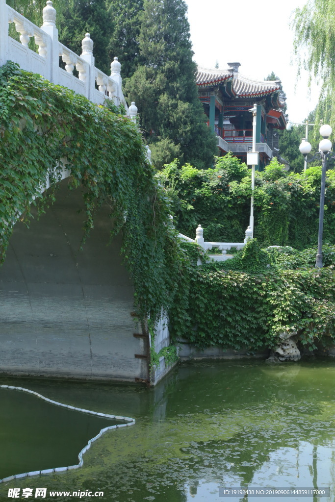 陶然亭风景