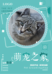宠物店单页