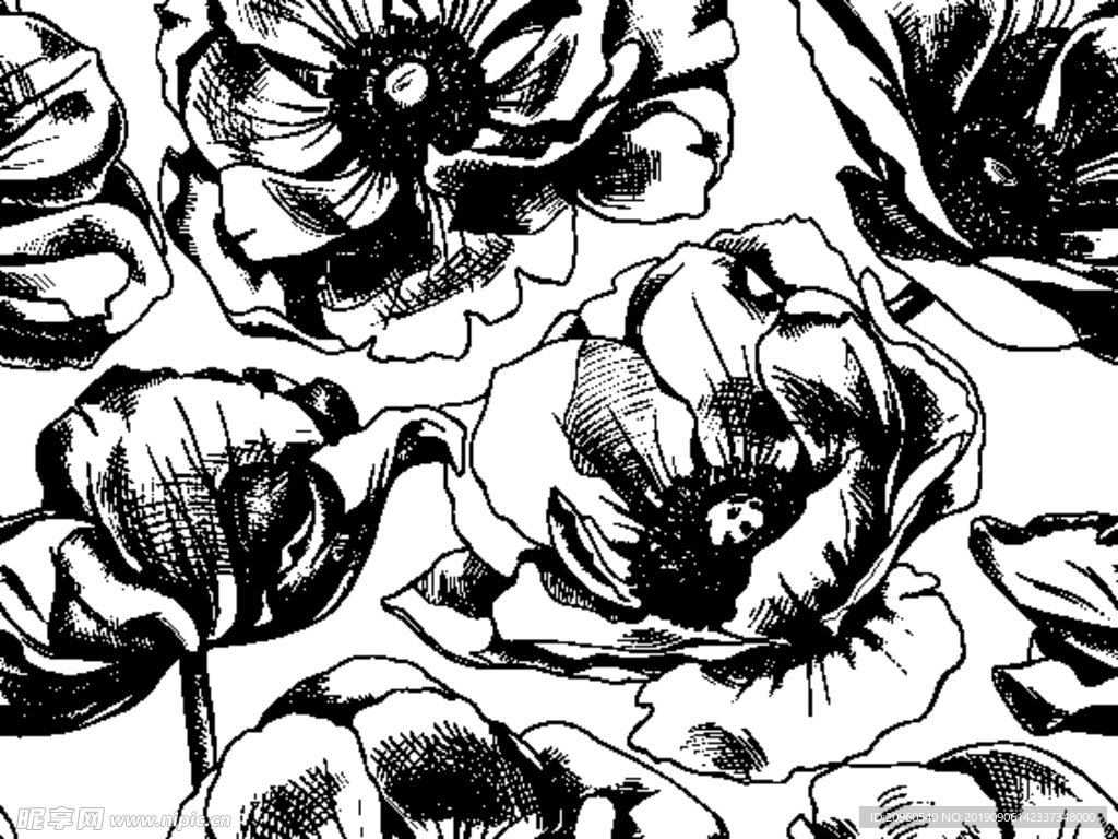 黑白素雅玫瑰花 装饰图