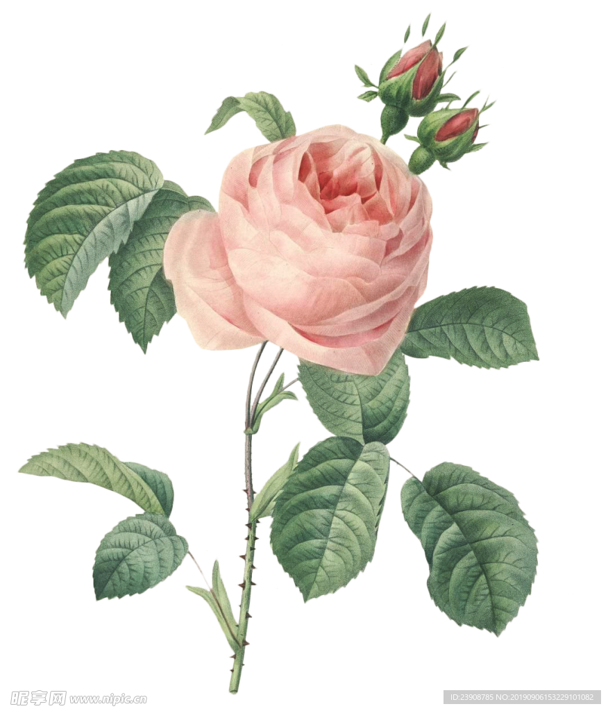 花