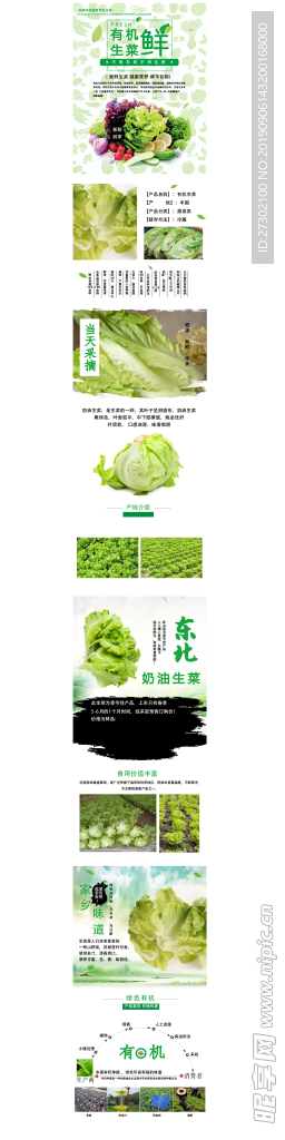 详情页 生菜 蔬菜详情页