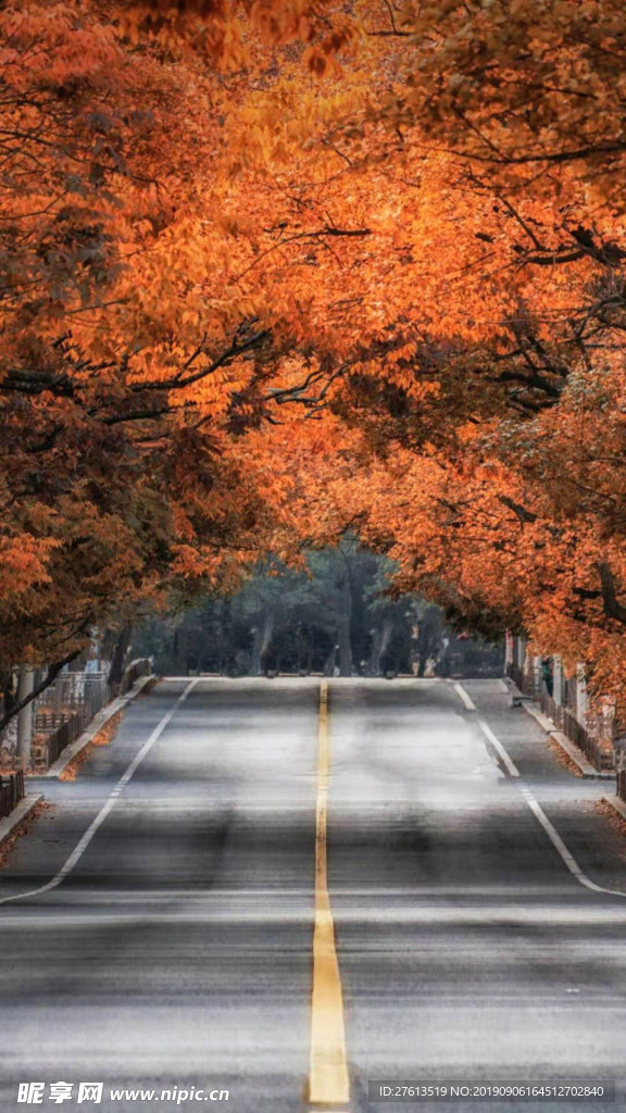 秋天的公路风景图片