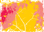 图案 花纹 纹理 画框  节日