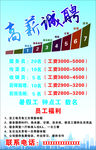 高薪诚聘
