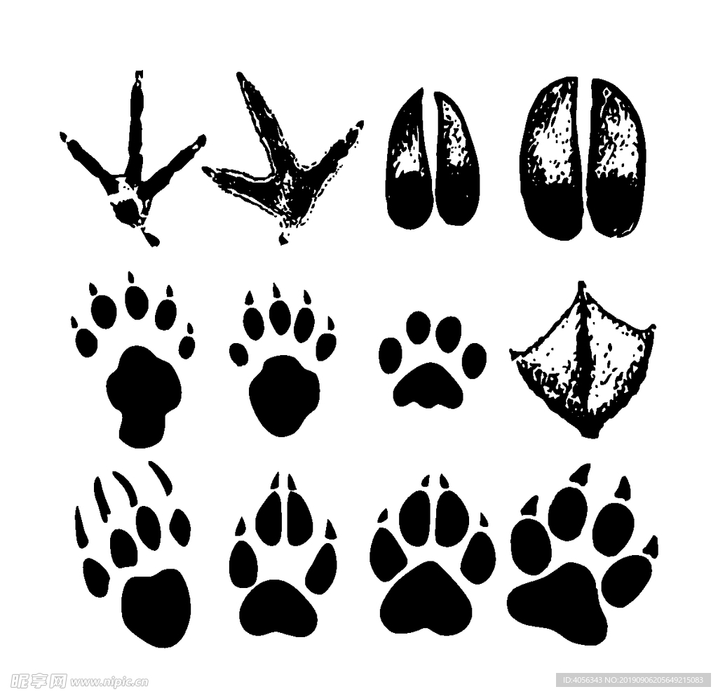 动物脚印图片素材-编号08305372-图行天下