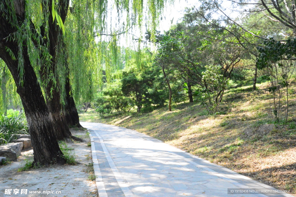 圆明园风景