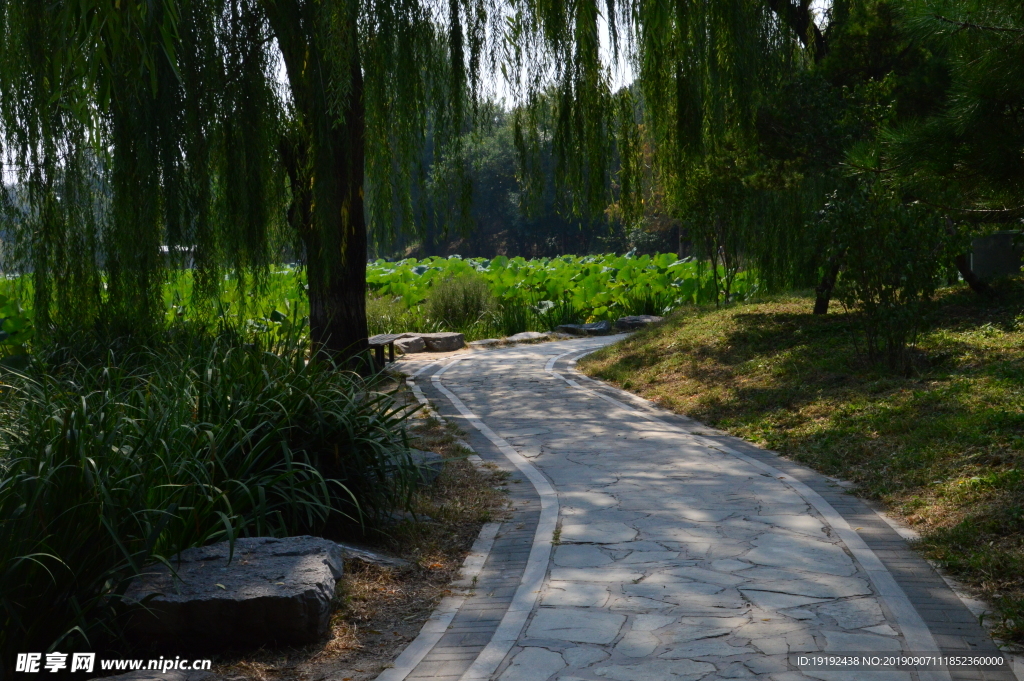 圆明园风景