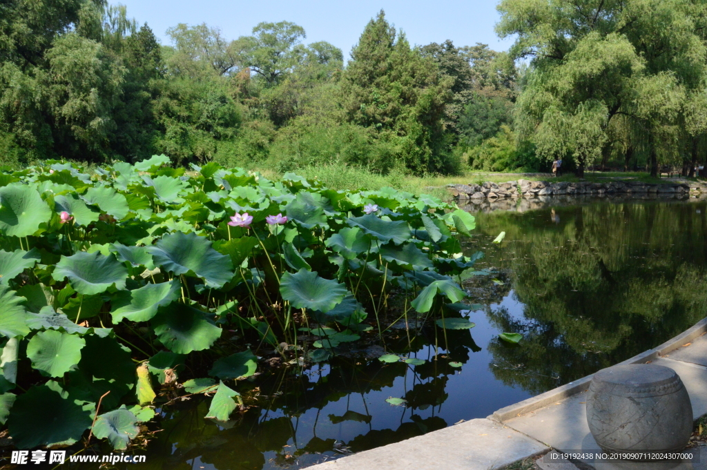 圆明园风景