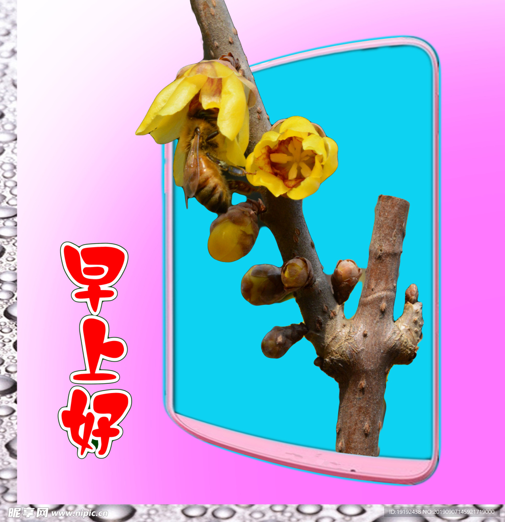 蜡梅花