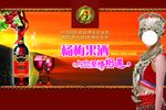 杨梅果酒海报
