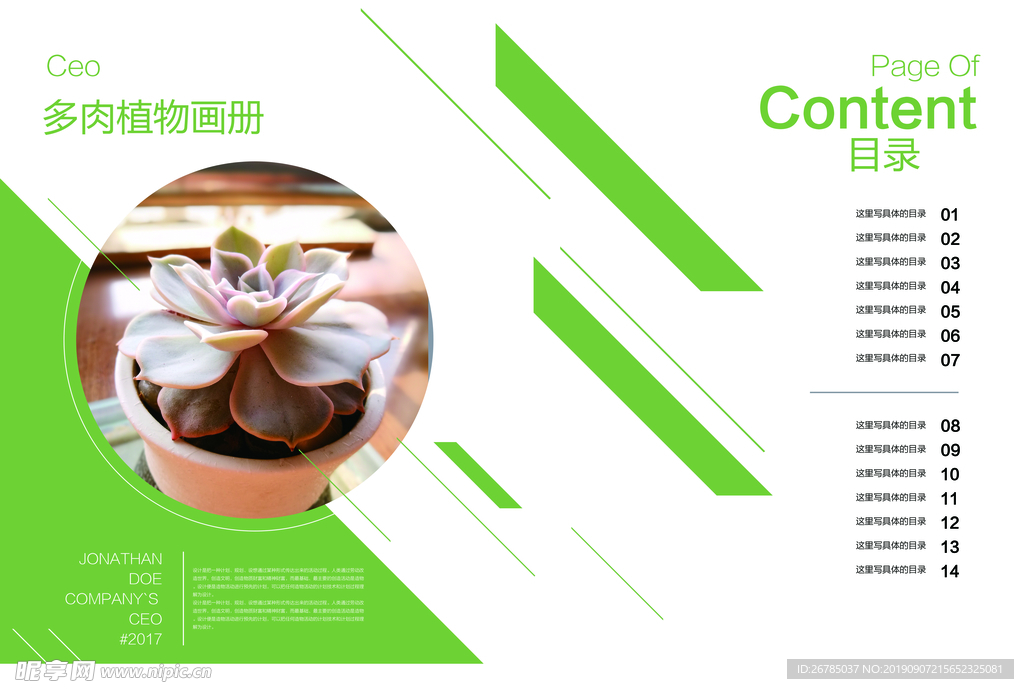 多肉植物盆栽画册