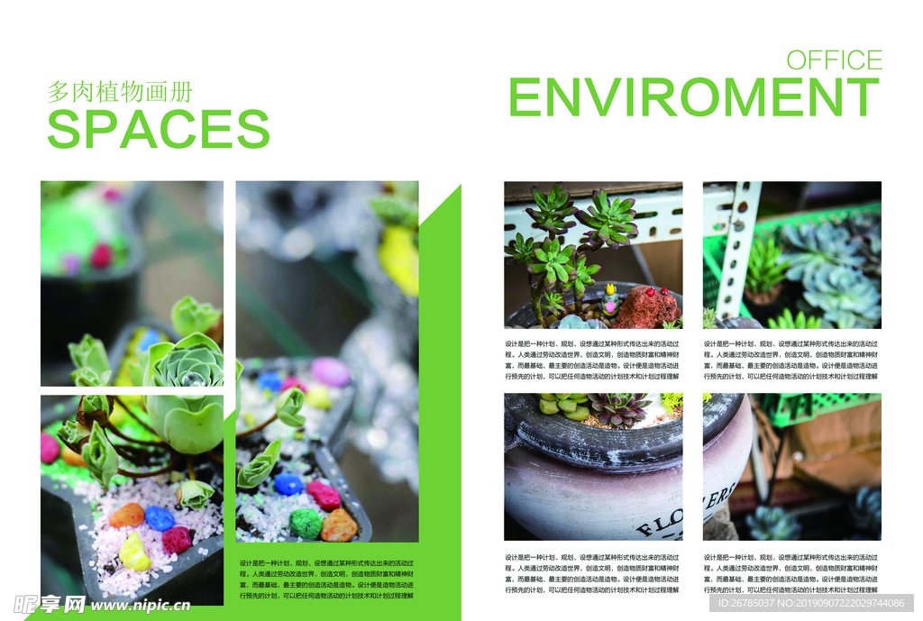 多肉植物盆栽画册