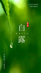 白露节气海报
