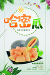 哈密瓜海报