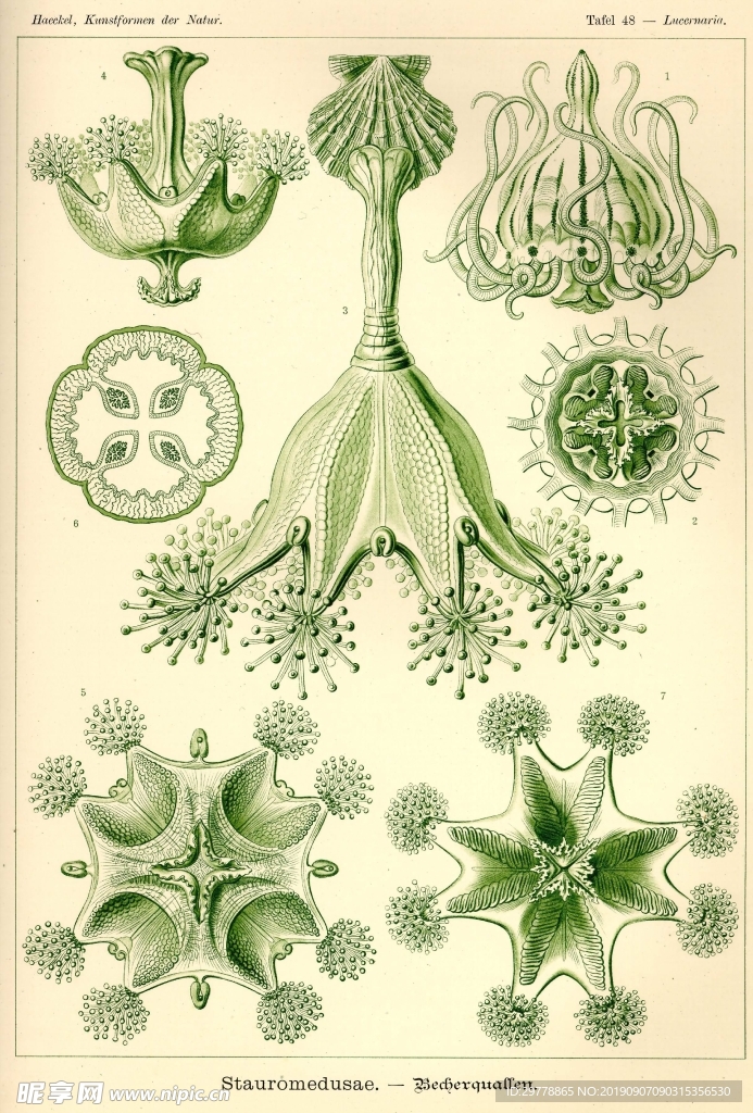 生物