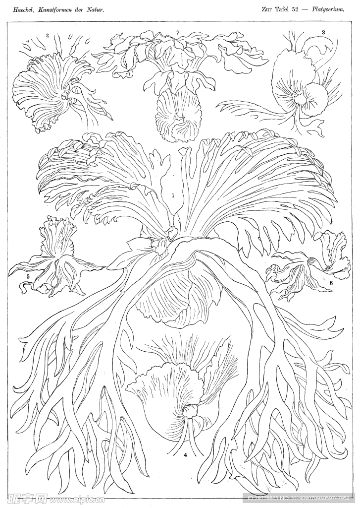 生物