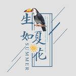 电商文案排版