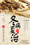 冬虫夏草